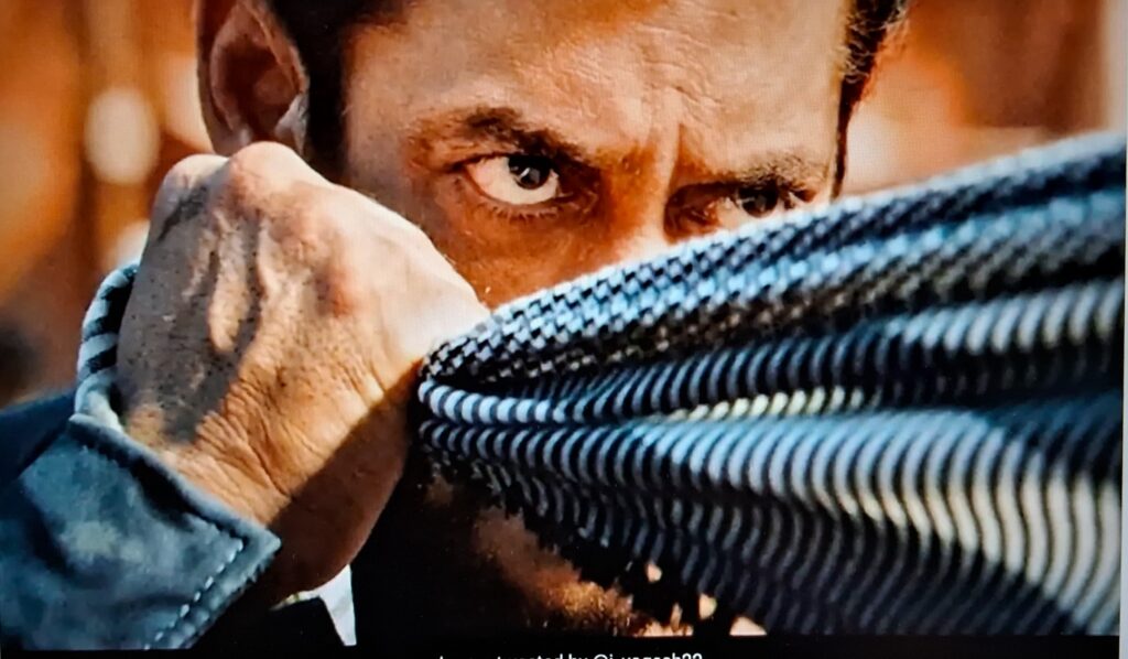 Tiger3 box office collection 12 days